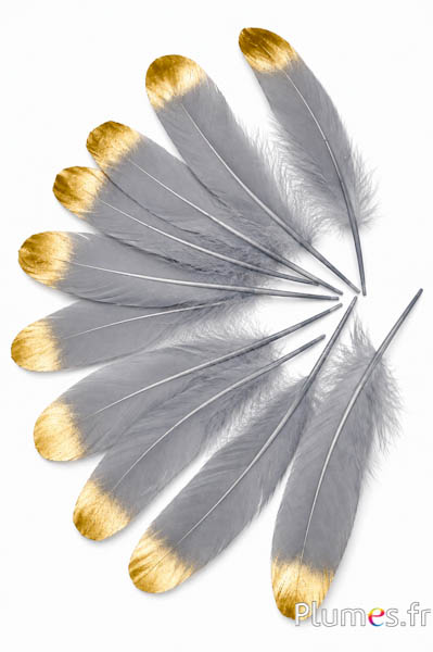 Gans gouden punt - 15-21 cm - grijs
